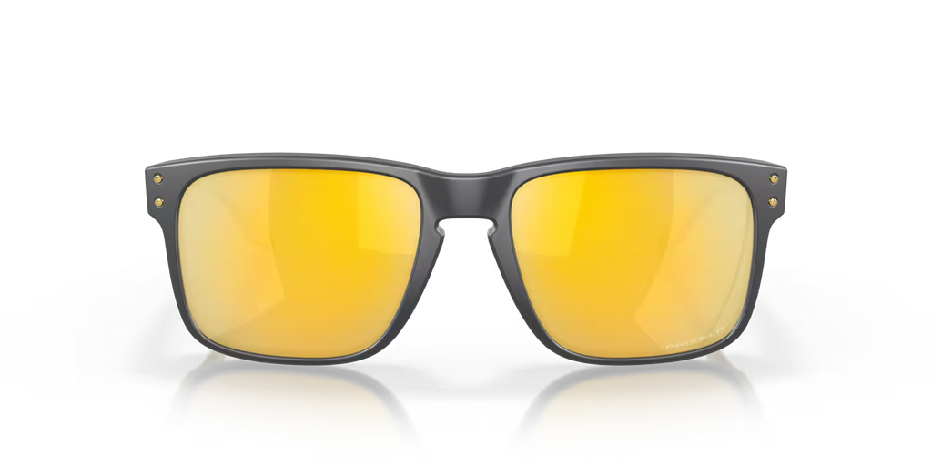 Holbrook Prizm Polar