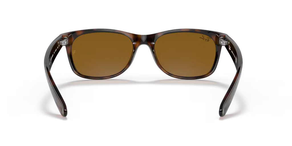 New Wayfarer Classic