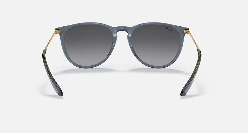 Erika Classic Polar